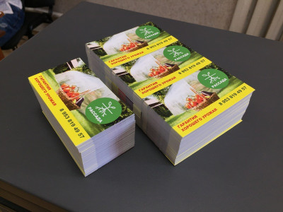 Визитки для компании «Рассада»